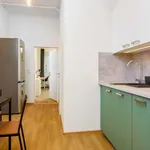 Rent 1 bedroom apartment of 35 m² in prague