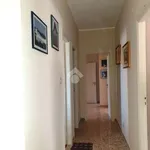 Rent 4 bedroom apartment of 110 m² in Palermo