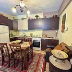 Rent 1 bedroom apartment of 50 m² in Arachova Municipal Unit