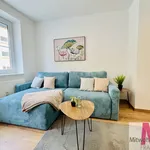 Rent 2 bedroom apartment of 40 m² in Nuremberg