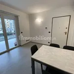 Rent 2 bedroom apartment of 45 m² in Turin