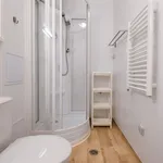 Rent 1 bedroom apartment in Brno