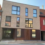 Rent 1 bedroom apartment in Kapellen