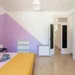 Rent 4 bedroom apartment in Bari