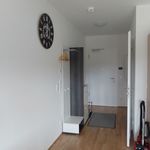 First occupancy, 2-room apartment with fitted kitchen and balcony., Freising - Amsterdam Apartments for Rent