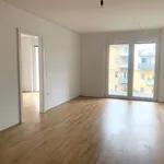 Rent 2 bedroom apartment of 50 m² in Graz