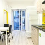 Rent 1 bedroom apartment in Brno