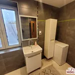 Rent 1 bedroom house of 260 m² in Włocławek