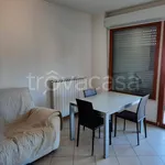 Rent 3 bedroom apartment of 100 m² in Cattolica