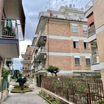 Affitto 1 camera appartamento di 15 m² in Roma