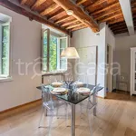 Rent 3 bedroom apartment of 142 m² in Lucca