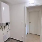 Rent 1 bedroom apartment of 50 m² in Prague