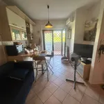 Rent 2 bedroom apartment of 50 m² in Roma