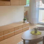 Rent 1 bedroom apartment of 41 m² in Szczecin