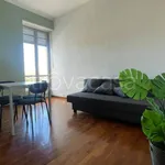 Rent 2 bedroom apartment of 62 m² in Torino