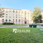 Rent 1 bedroom apartment of 30 m² in Ostrava