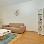 Rent 1 bedroom apartment of 753 m² in Zurich