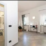 Rent 1 bedroom house of 45 m² in Torino