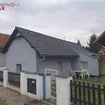 Rent 1 bedroom house in Staré Hradiště