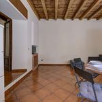 Rent 1 bedroom apartment of 40 m² in Milano