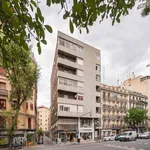 Rent a room of 391 m² in Madrid