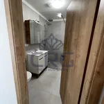 Rent 4 bedroom apartment in Brno venkov