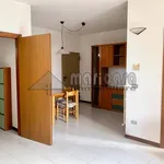 Rent 1 bedroom apartment of 50 m² in ferrara