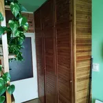 Rent 1 bedroom apartment in Tábor