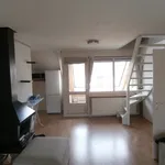 Huur 2 slaapkamer appartement van 54 m² in Den