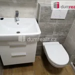 Rent 1 bedroom apartment of 30 m² in Otrokovice