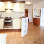 Rent 2 bedroom apartment of 38 m² in Poznan