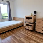 Rent 3 bedroom apartment of 67 m² in Częstochowa