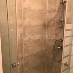 Rent 1 bedroom apartment of 29 m² in Milano