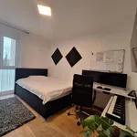 Rent 3 bedroom apartment of 54 m² in Graz