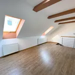 Rent 3 bedroom apartment of 70 m² in Zabrušany