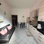 Rent 2 bedroom apartment of 46 m² in Cremona