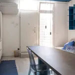 Rent 1 bedroom apartment in bologna