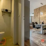 Rent 2 bedroom apartment in Praha 4