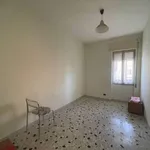 Rent 3 bedroom apartment of 75 m² in Roma