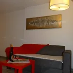 Rent 1 bedroom apartment of 32 m² in Lyon