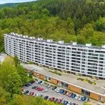 Rent 1 bedroom apartment of 34 m² in Liberec (nečleněné město)