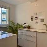 Rent 2 bedroom apartment of 47 m² in Essen