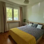 Rent 2 bedroom apartment of 50 m² in Warsaw