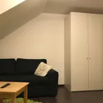 Rent 1 bedroom apartment of 35 m² in München