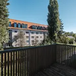 Rent 1 bedroom apartment of 43 m² in Südstadt