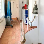 Rent 8 bedroom house of 180 m² in Orbetello