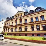 Rent 2 bedroom apartment of 42 m² in Chemnitz