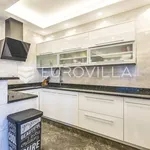 Rent 4 bedroom apartment of 169 m² in Zagreb