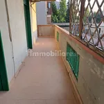 Rent 4 bedroom apartment of 110 m² in Palermo