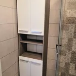 Pronajměte si 3 ložnic/e byt o rozloze 69 m² v Prague